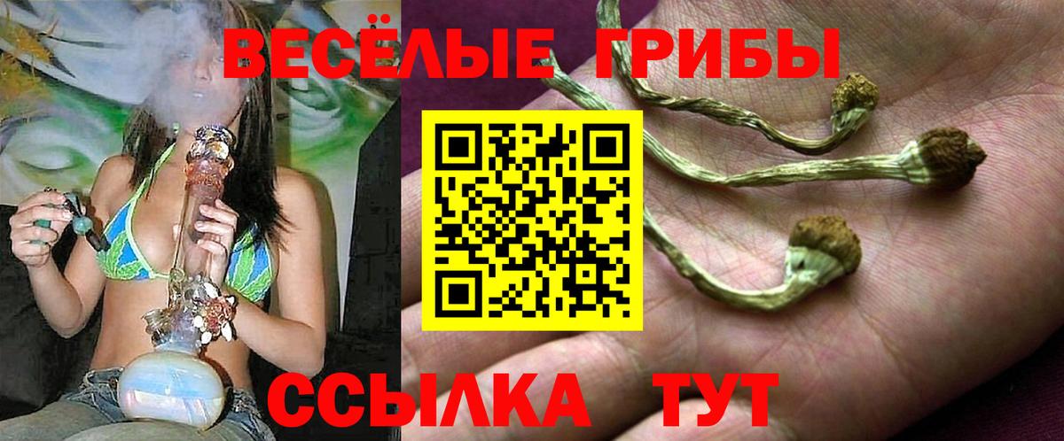 Псилоцибиновые грибы Magic Shrooms  Вход с VPN  Элиста  Псилоцибиновые грибы ЛСД 
