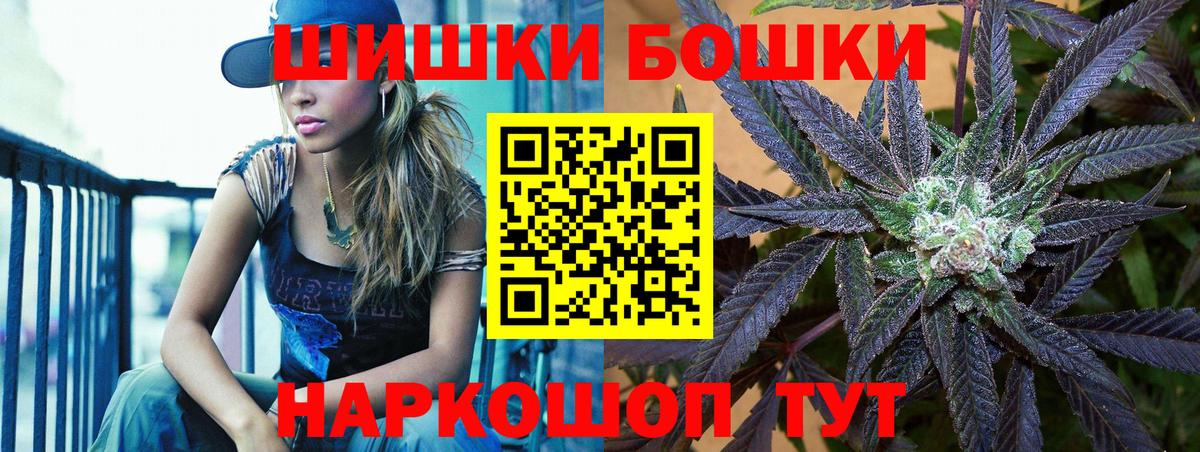 Бошки Шишки марихуана Элиста